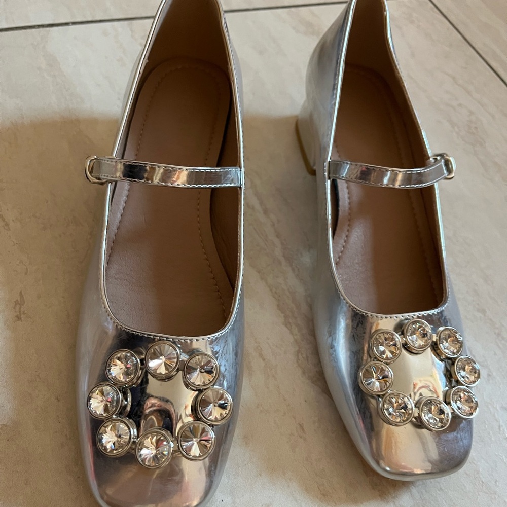 Elegant Silver Mary Jane Shoes